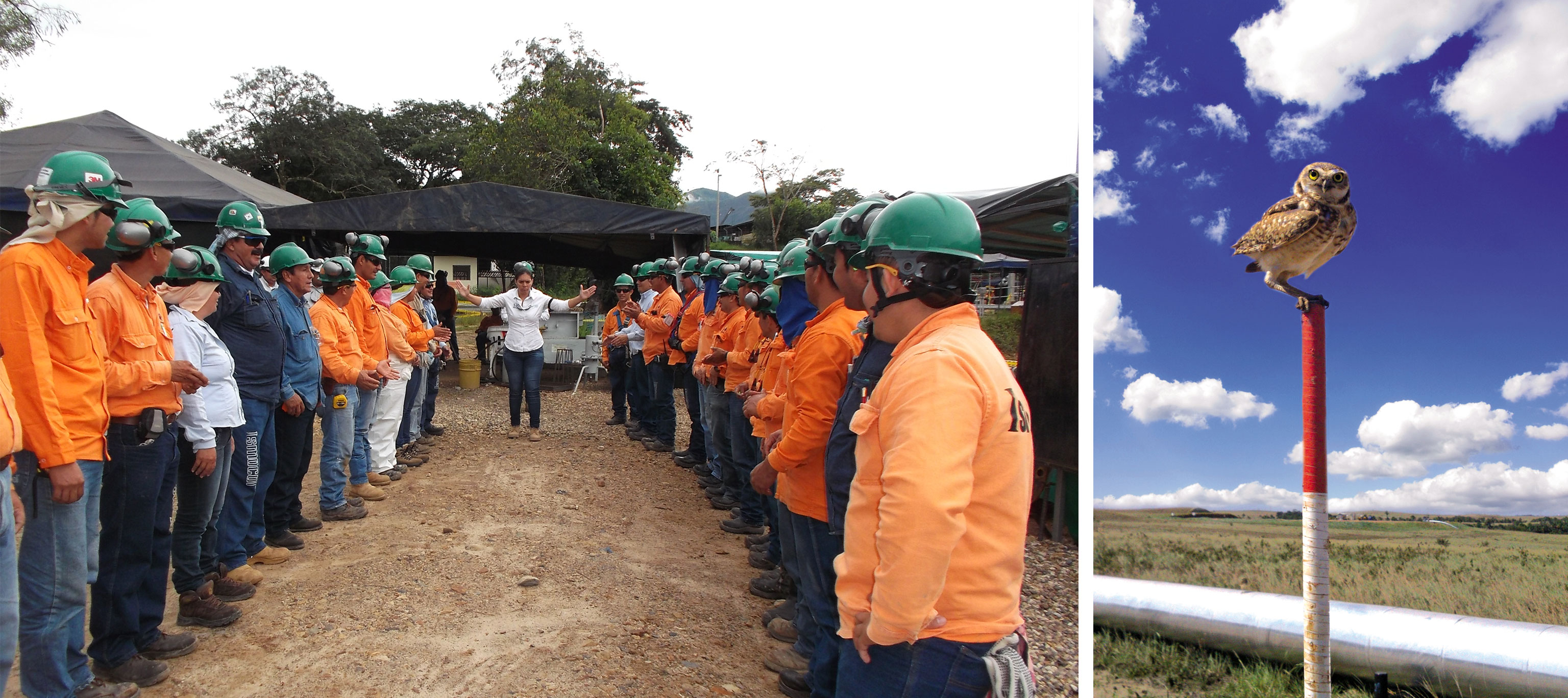 Salud, Seguridad en el Trabajo y Ambiental